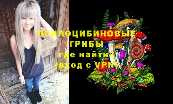 дживик Алексеевка