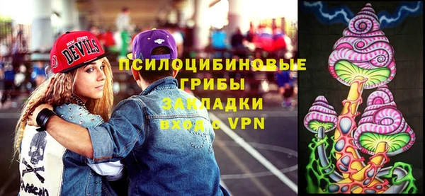 гашик Арсеньев