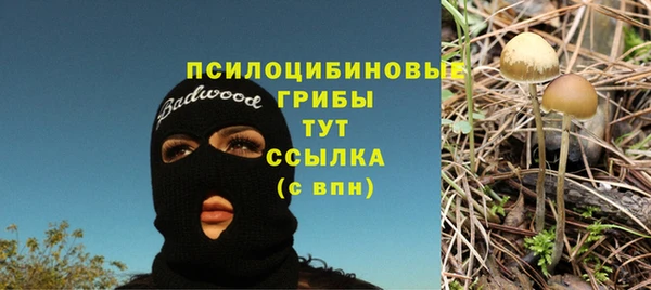 дживик Алексеевка