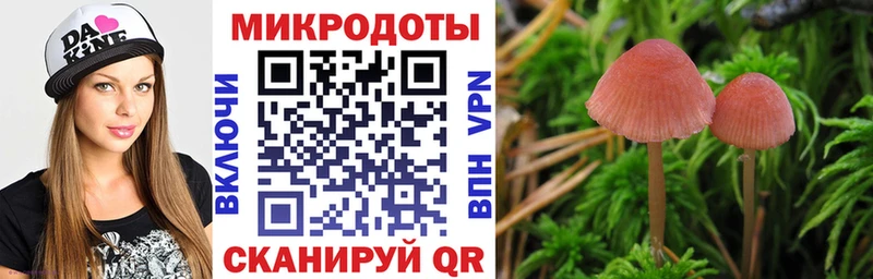 Псилоцибиновые грибы Psilocybine cubensis  ОМГ ОМГ ссылки  Волгодонск 