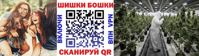 Бошки Шишки SATIVA & INDICA  купить наркотик  Волгодонск 
